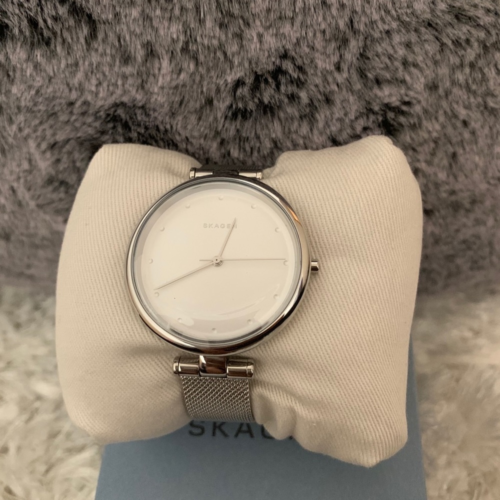 Skagen watch